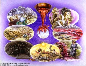 A composite picture of the Bowl Judgments.